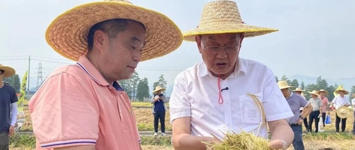 New Farmer Yu Yiyao: Injecting 'Smart Chips' into Modern Agriculture in Fengkai