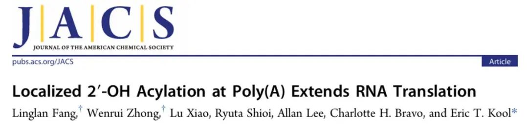 Localized 2'-OH Acylation at Poly(A) Extends RNA Translation