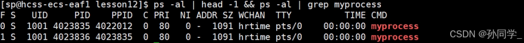 Linux Process States (Zombie Processes, Orphan Processes), Priority and Scheduling Mechanisms