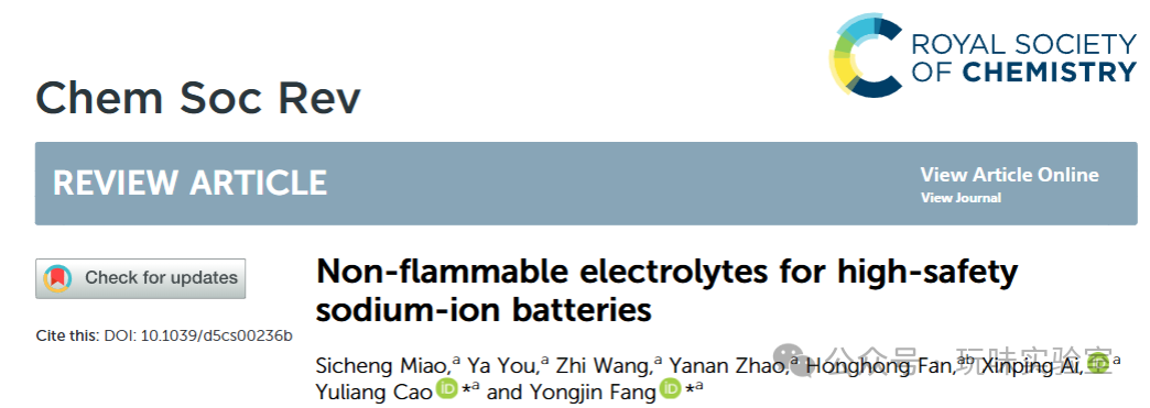 Latest Review by Wuhan University Team in Chem Soc Rev: Recent Research and Prospects of Non-flammable Electrolytes for Sodium-ion Batteries