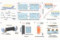 Maze Navigation and Ice Melting! Professor Zhang Weihong and Team Successfully Develop a Miniature Multifunctional Robot