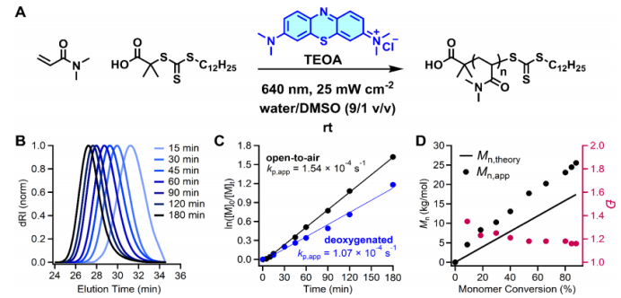 Red Light-Driven, Oxygen-Tolerant RAFT Polymerization Enabled by Methylene Blue