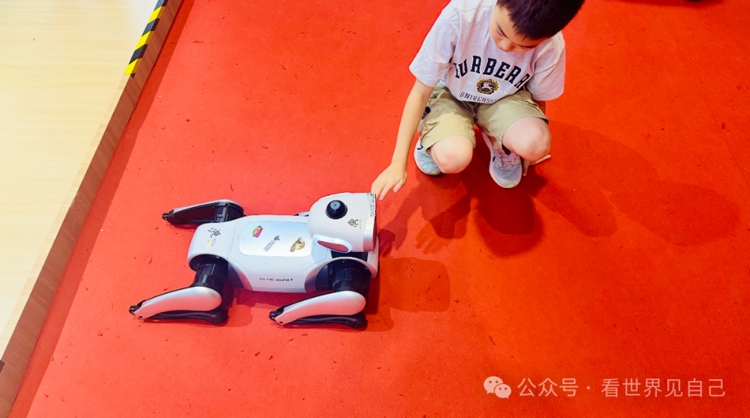 From Showcase to Factory: The 'Survival Game' of Humanoid Robots