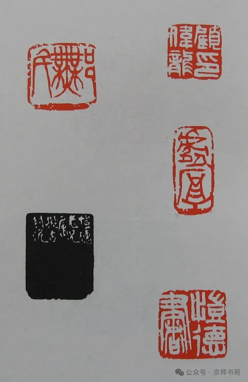 Compilation of Seal Carving: Part 93