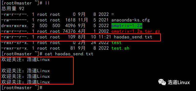 The Power of the nc Command in Linux!
