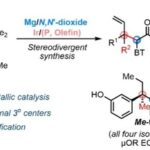 Stereodivergent Synthesis of Allylic All-Carbon Quaternary Centers by Bimetallic Iridium/Magnesium-Catalyzed Allylic Alkylation