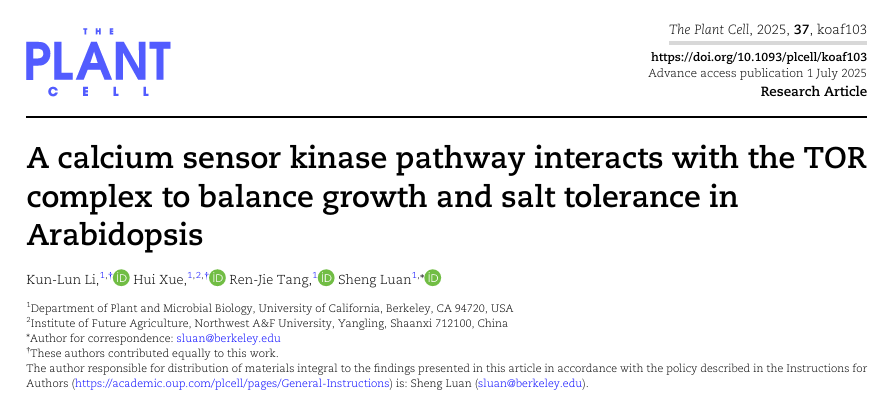 Literature Sharing | Interaction of Calcium Sensor Kinase Pathway with TOR Complex Balances Growth and Salt Tolerance in Arabidopsis