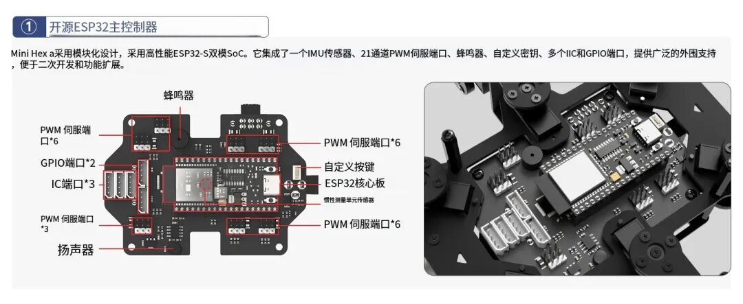 Open Source! Mini Hexapod AI Robot with AI Vision and Voice Interaction, Supports Arduino Programming and Sensor Expansion