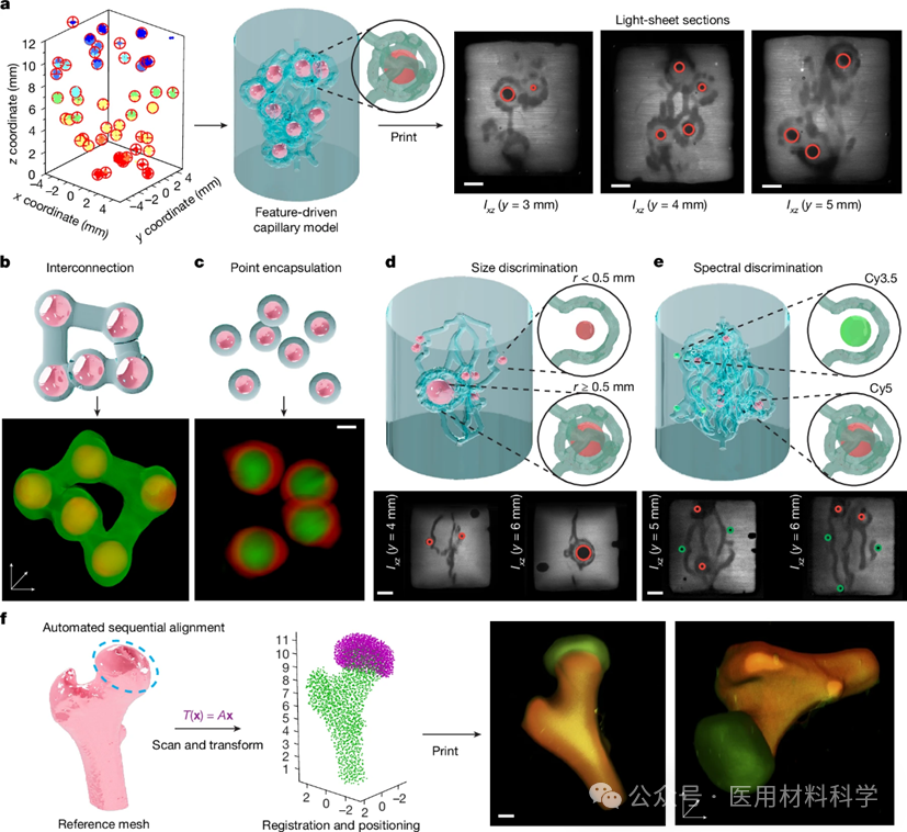 A 302-Day Journey: Biological 3D Printing in Nature!