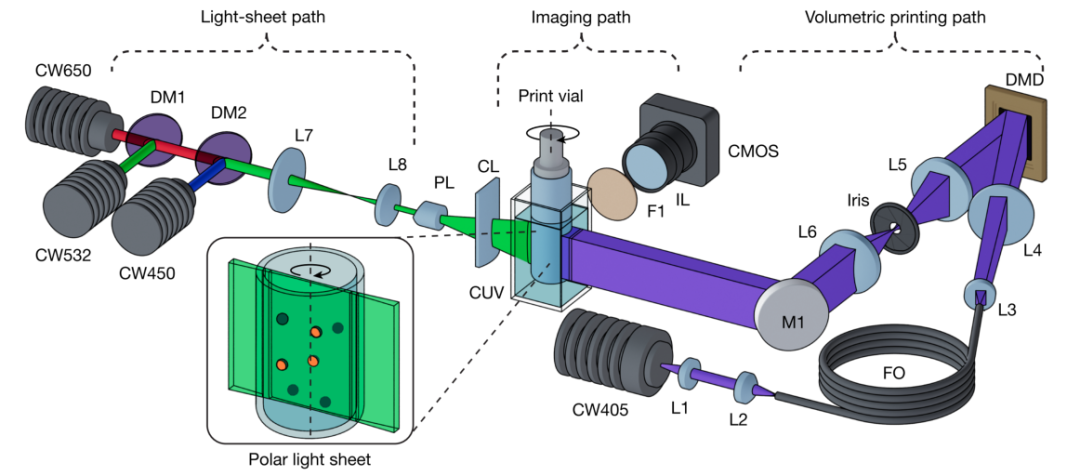 3D Bioprinting: The Latest from Nature!