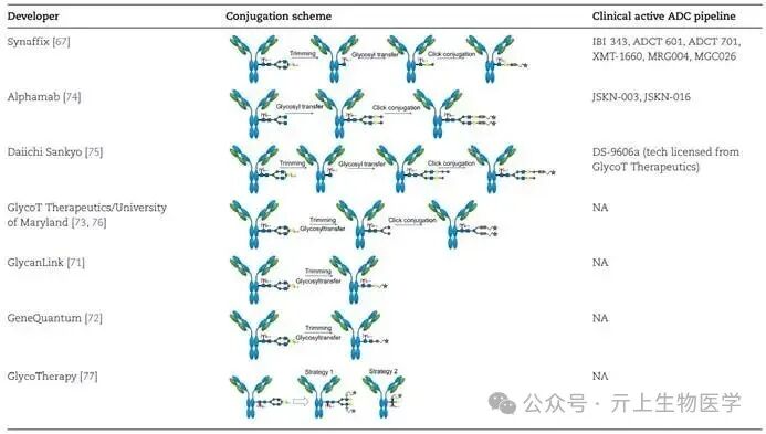 Overview of ADC Conjugation Technology