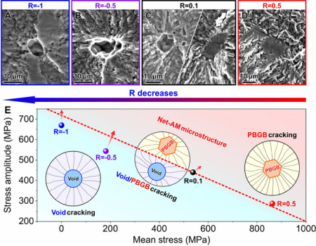 Weekly Technology Review: New Micro-Pore Free Process Enhances Metal 3D Printing Durability; Unveiling the Mechanism of Key Proteins Preventing Brain Calcification