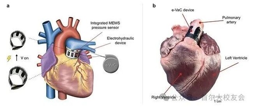 Medical Robotics Technology and Development Trends
