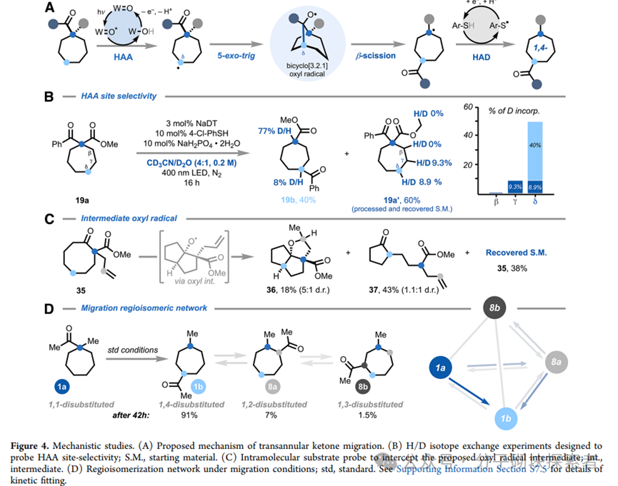 The Elusive Seven-Membered Ring Tamed! A New Photocatalytic Strategy Achieves Site-Selective Modification