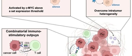 Reprogramming the Tumor Microenvironment with c-MYC-Based Gene Circuit Platform to Enhance Specific Cancer Immunotherapy