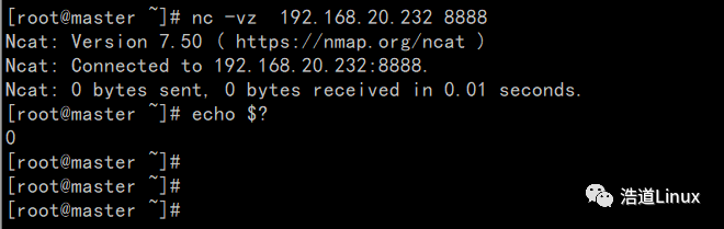 The Power of the nc Command in Linux!
