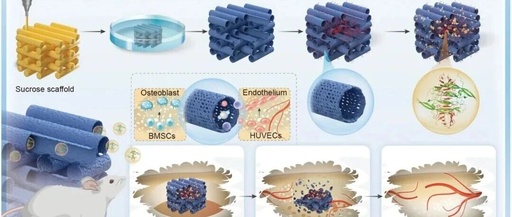 3D-Printed Biomimetic Vascular Scaffold for Sustained Release of PDGFB-LG4 Fusion Protein Promotes Bone Regeneration