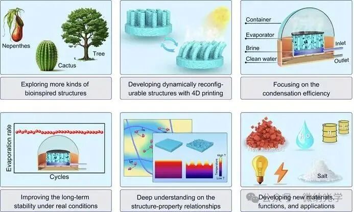 Academic Focus: Structural and Functional Customization of Interfacial Solar Evaporators Using 3D Printing Technology