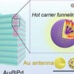 Impact of Hot Carrier Dynamics on Photoelectrocatalytic Activity on Au@Pd Antenna-Reactor Nanoparticles