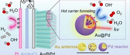 Impact of Hot Carrier Dynamics on Photoelectrocatalytic Activity on Au@Pd Antenna-Reactor Nanoparticles