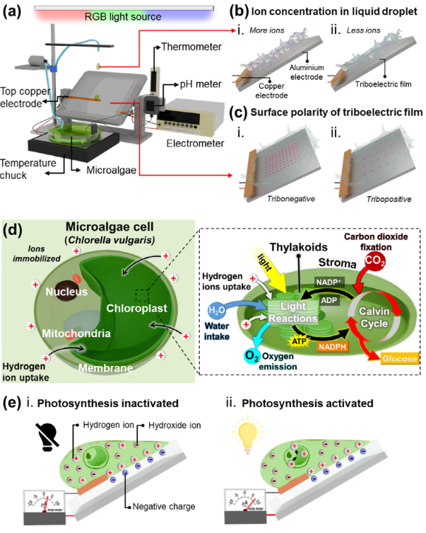 Weekly Research (Part 2): Intelligent Soft Robotic System for Sensing and Recognition via Triboelectric-Based Multi-Sensor Fusion