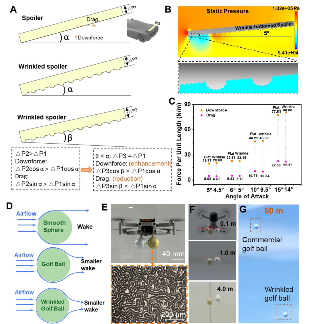 3D Printing and Self-Organization for Multi-Scale Energy-Efficient Wrinkled Surfaces