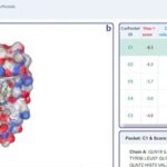 CB-Dock2: An Improved Protein-Ligand Blind Docking Workflow Combining Homology Templates and FitDock Optimization