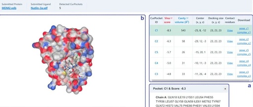 CB-Dock2: An Improved Protein-Ligand Blind Docking Workflow Combining Homology Templates and FitDock Optimization