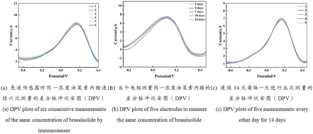 Electrochemical Immunosensor for In Situ Detection of Brassinolide
