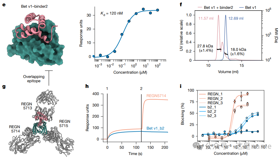 BindCraft: A One-Shot Protein Design Tool for Functional Protein Binders (Nature 2025)