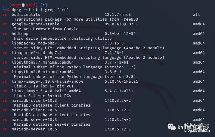 Proper Ways to Clean Up Junk in Kali Linux