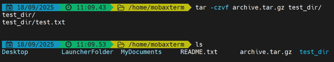 Essential Linux Commands for Bioinformatics Analysis: zip, gzip, bzip2, tar