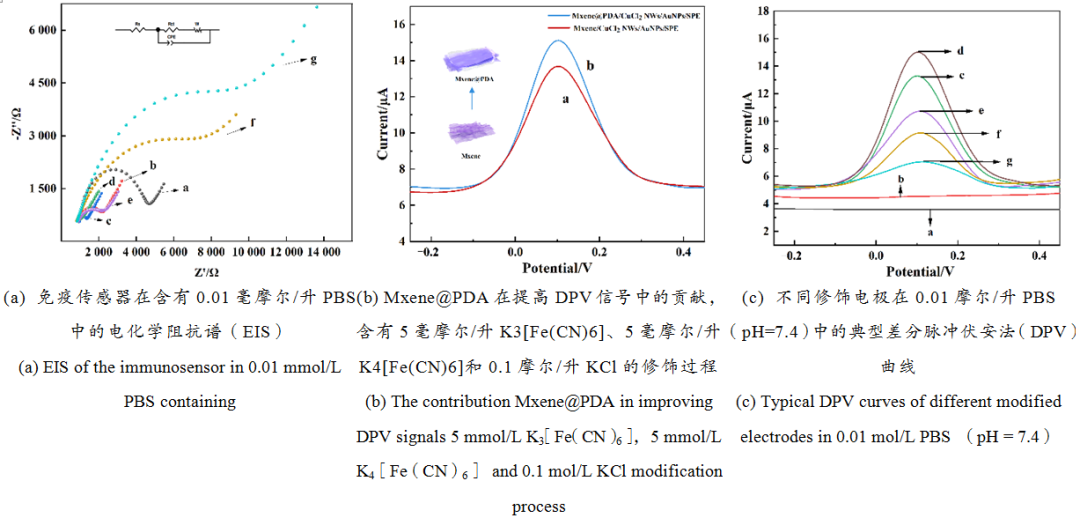 Electrochemical Immunosensor for In Situ Detection of Brassinolide