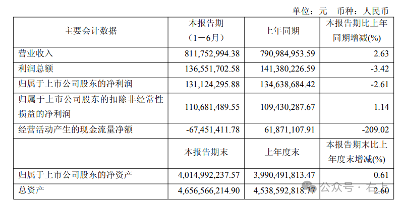 Hengxuan Technology: Leader in Low-Power Bluetooth Audio Chips