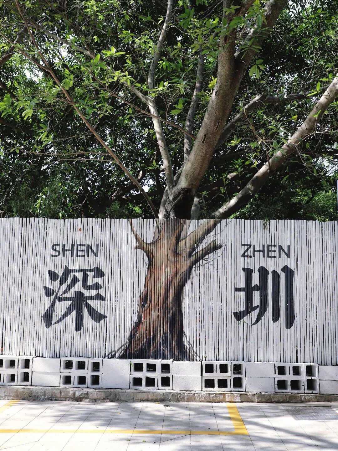 The Core Logic of Shenzhen as the World's Leading City in 3D Printing