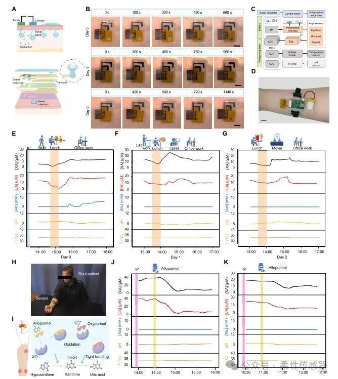 Wearable Sweat Sensor System for Continuous Metabolic Monitoring
