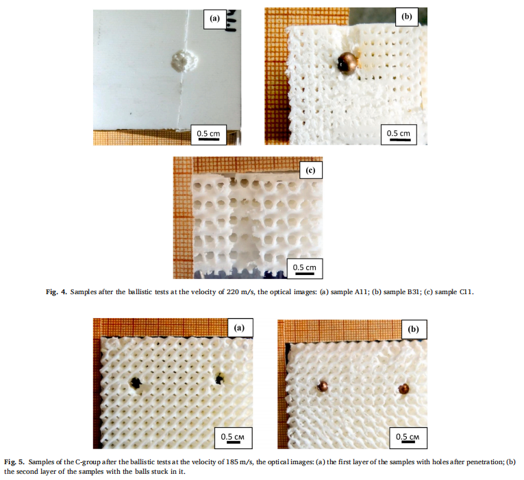 Impact Energy Absorption in Bio-inspired PLA Structures via 3D Printing