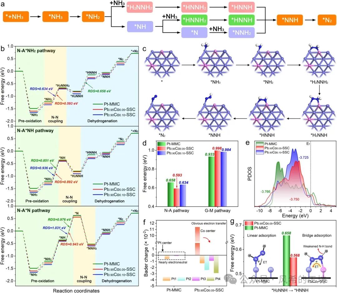JACS: Breakthrough in Power Density of Direct Ammonia Fuel Cells Achieved with Trace Cobalt-Substituted Platinum Catalysts at 853.75 mW cm⁻²