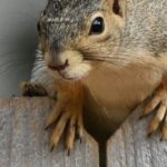 12 Most Commonly Used Ansible Modules: Which Can Double Server Management Efficiency?