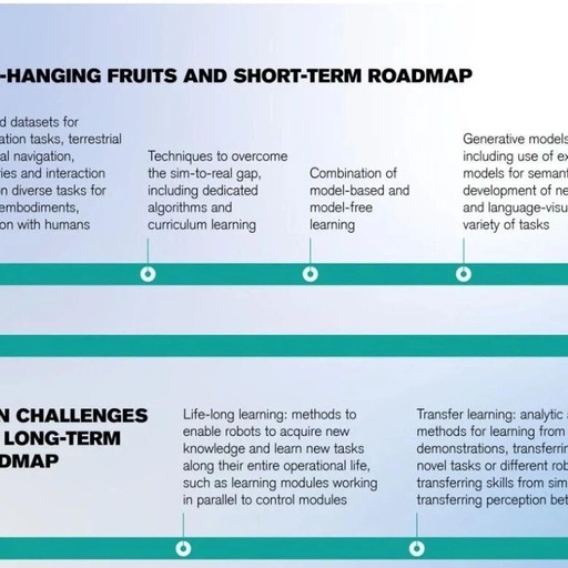 AI Roadmap for Robotics: Leading Scholars Collaborate to Outline the Development Blueprint for the Next Decade