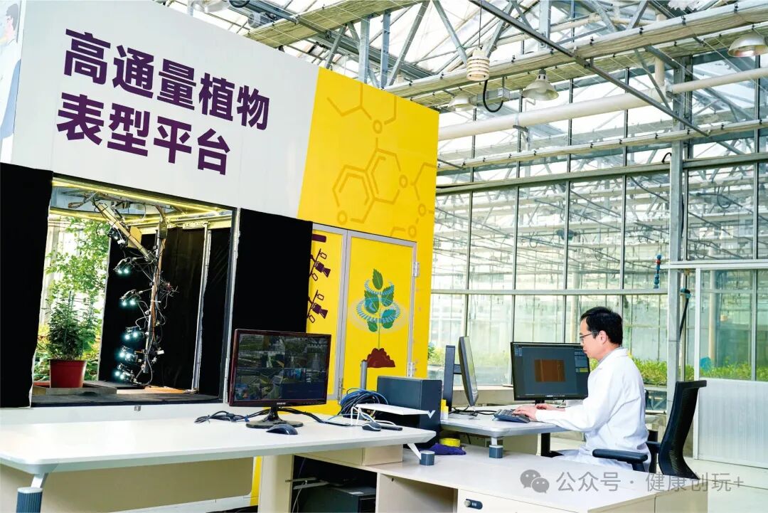 IoT Temperature Control and AI Nutritional Measurement: Every Plant at Amway's R&D Center Enjoys a 'VIP Customized Growth Plan'