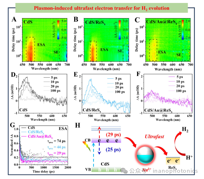Plasmon-Induced Ultrafast Interfacial Charge Transfer for Enhanced Photocatalytic Hydrogen Evolution