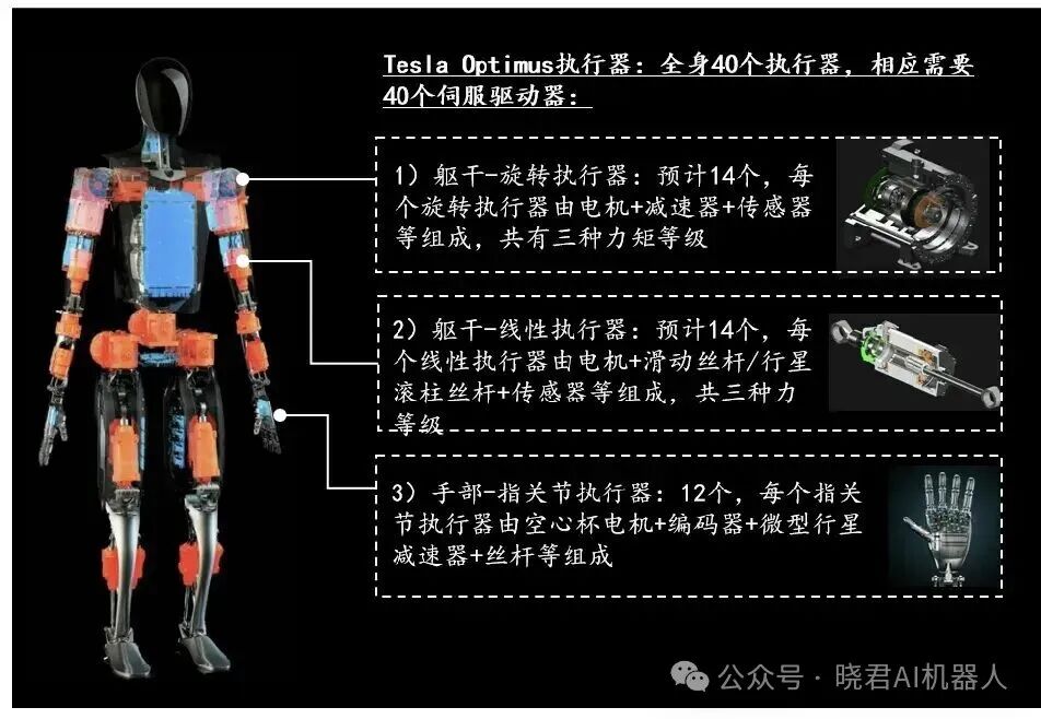 Comprehensive Overview of the Humanoid Robot Industry Chain
