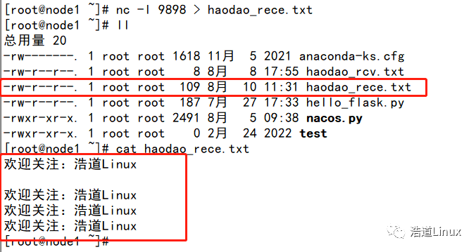 The Power of the nc Command in Linux!