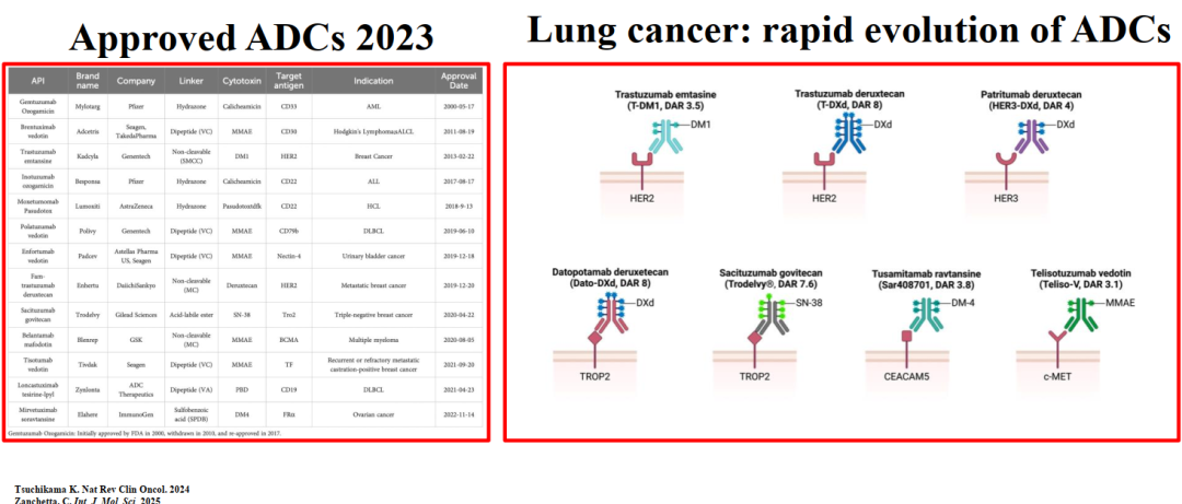 Biomarkers for ADCs: IHC and Beyond