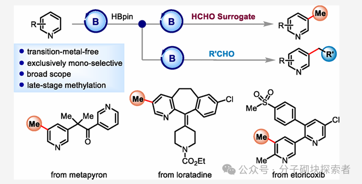 Overcoming the Challenge of Meta-Methylation of Pyridine: A Cost-Effective Aldehyde-Catalyzed Strategy Brings New Breakthroughs
