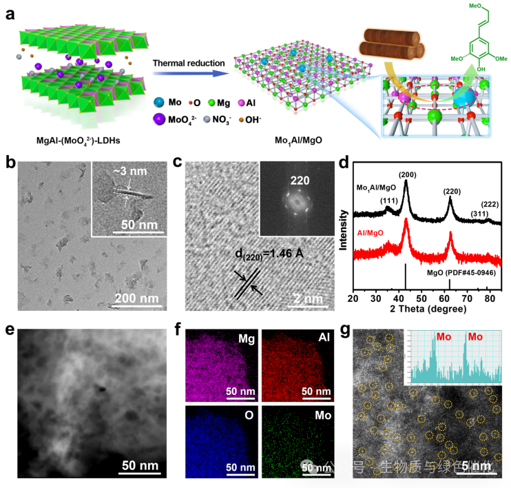 Synergy of Single Atoms and Lewis Acid Sites for Efficient and Selective Lignin Disassembly into Monolignol Derivatives
