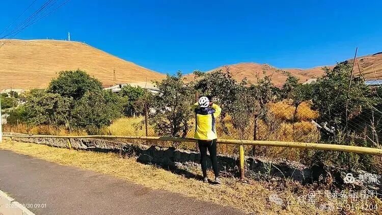 A Return Customer After Eating Fish; Cycling from 11°C to 38°C to Yerevan (Days 19-20 of Cycling in the Caucasus + Turkey)