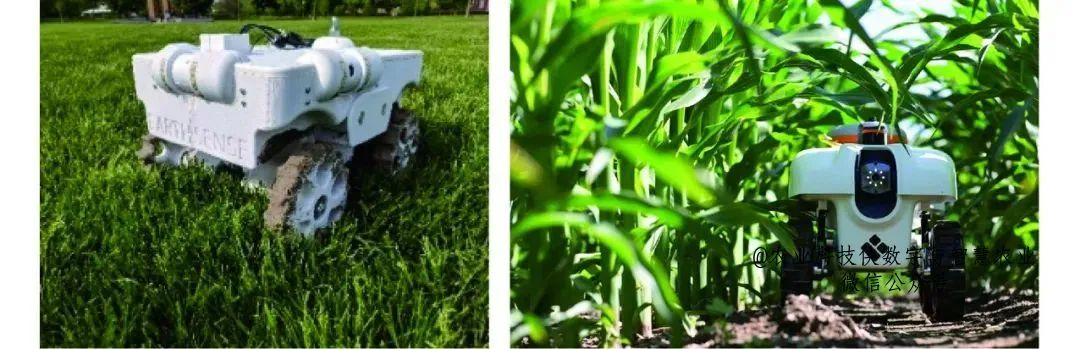 Current Development Status of Agricultural Robots in Major Countries