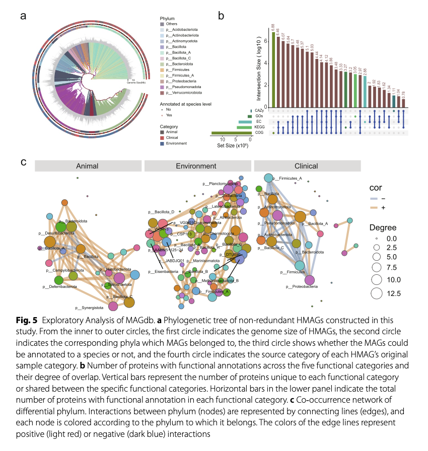 MAGdb: A Comprehensive High-Quality Repository for Exploring Microbial Metagenome-Assembled Genomes